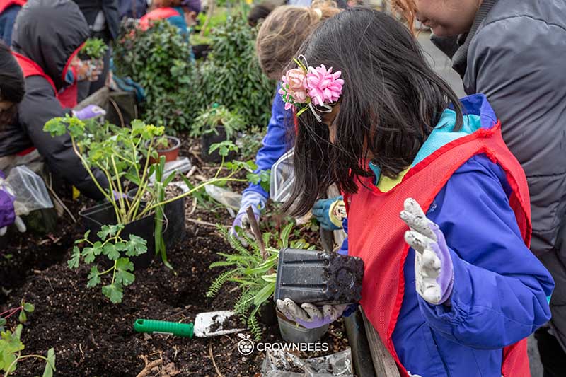 Children Gardening in Seattle's UpGarden