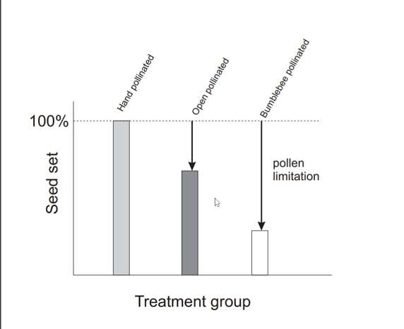 Figure 1. Pollinator limitation results in lower seed set.
