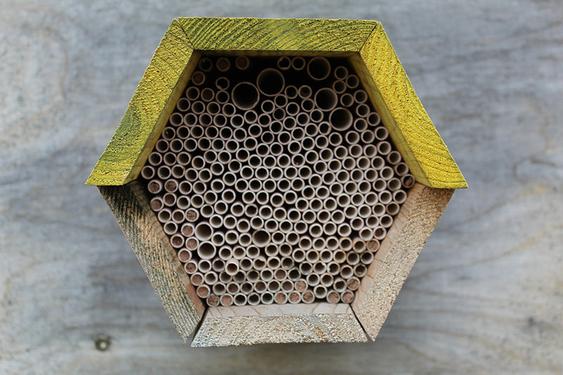 Paper straws for native bee nests