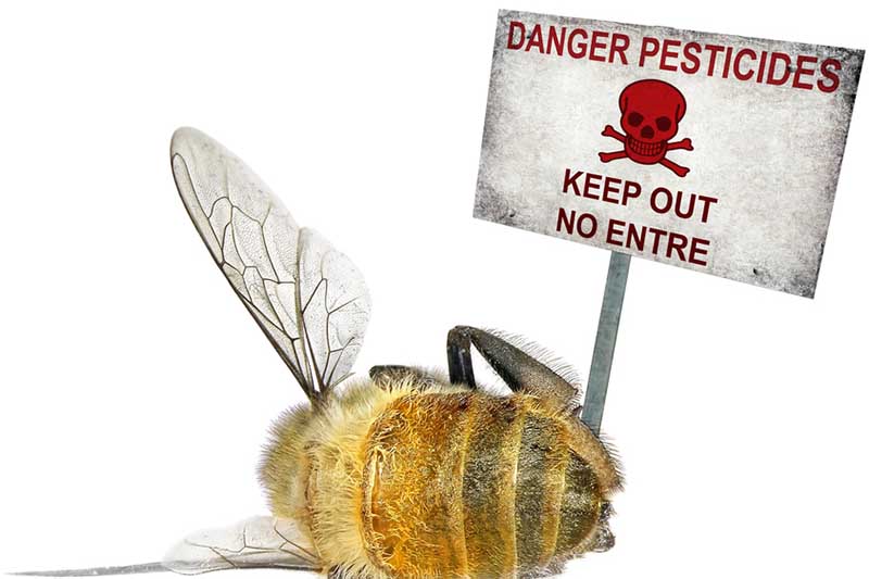 danger-pesticides.jpg