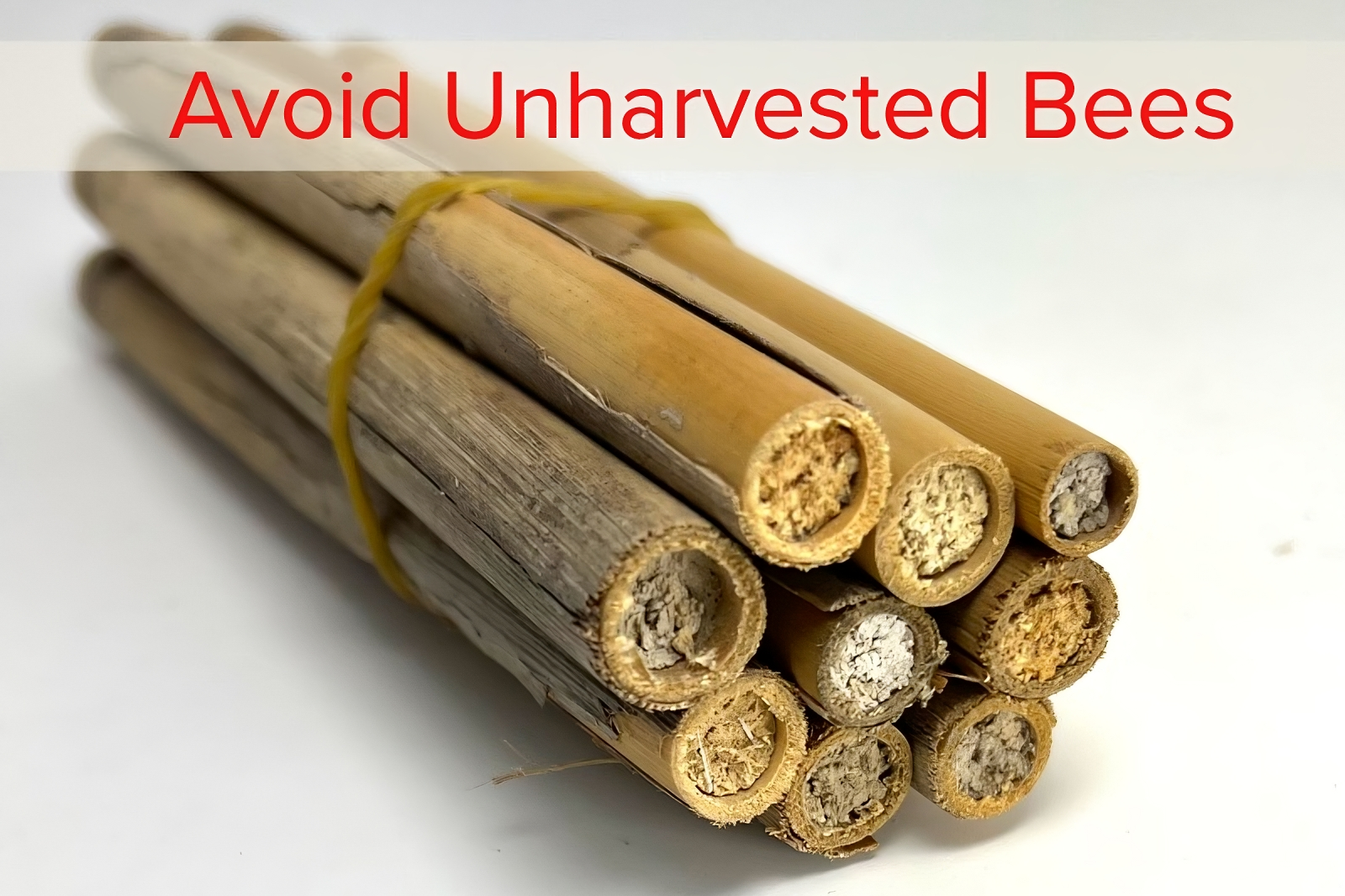 Avoid Buying Unharvested Reeds
