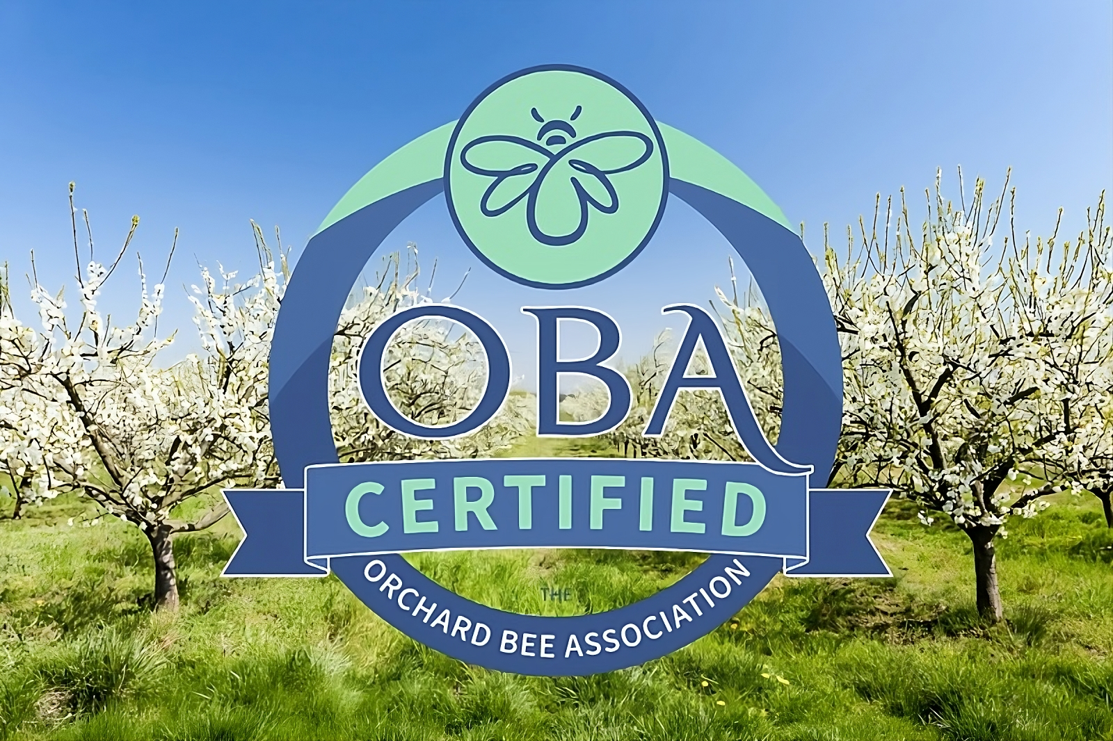 Orchard Bee Association