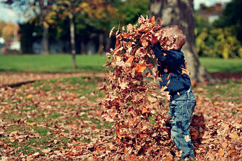 Kid playing in fall leaves