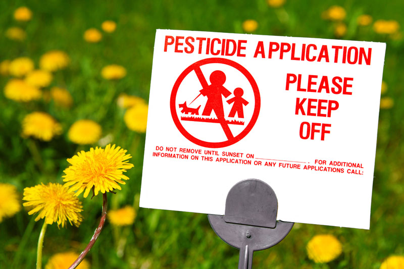 toxic-chemicals-national-pesticides-application-sign-dandelions-800x533.jpg