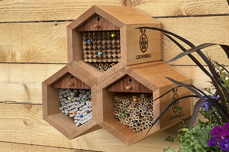 Villa Bee Houses - Wood Trays, BeeTubes, and Natural Reeds