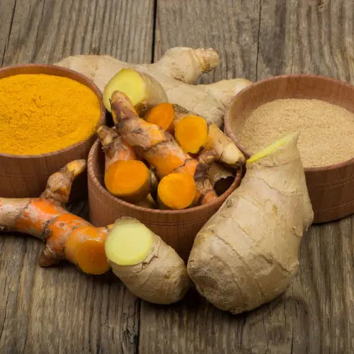 ginger and turmeric root and the powdered version