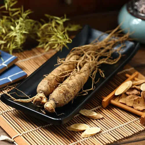 racine de ginseng dans un plat