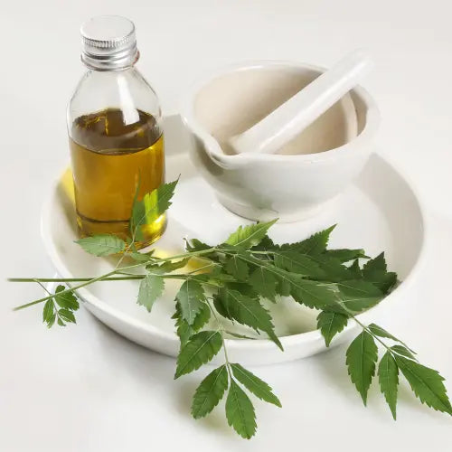 neem oil in a flask, mortar and neem leaves in a dish