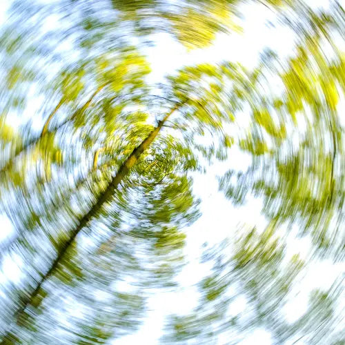 dizziness illustrated with a view from below of trees