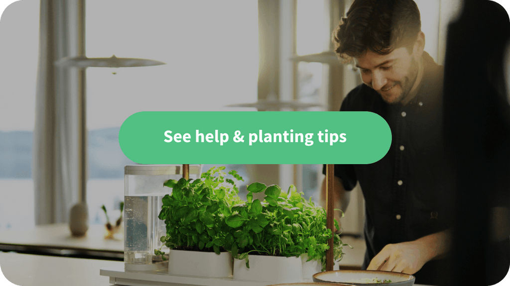 help and planting tips