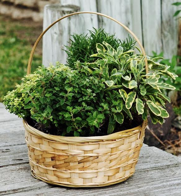 basket of herbs