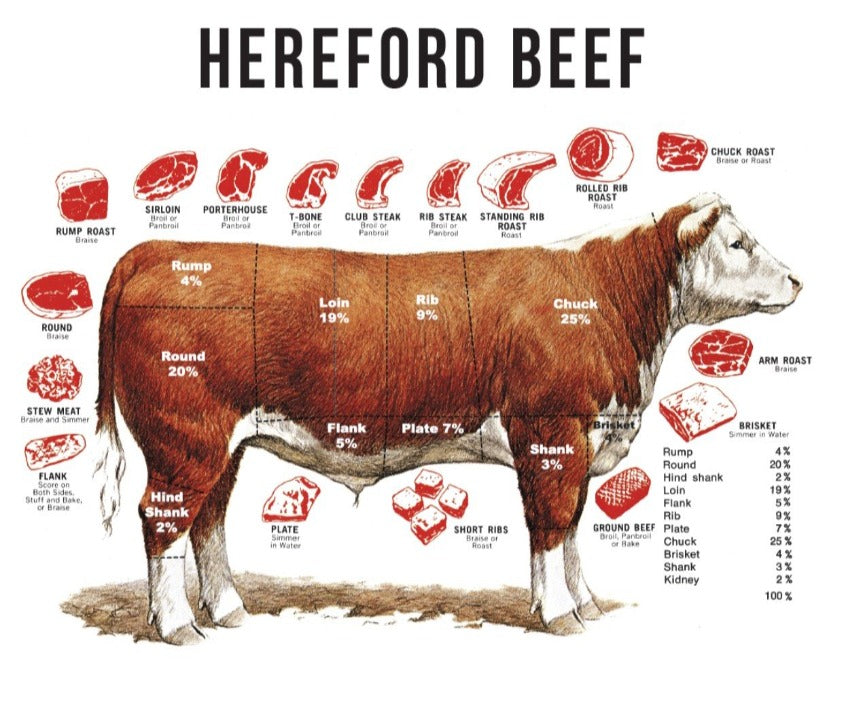 Beginner's Guide To Beef Cuts, Angus Beef Butcher Chart Laminated Wall