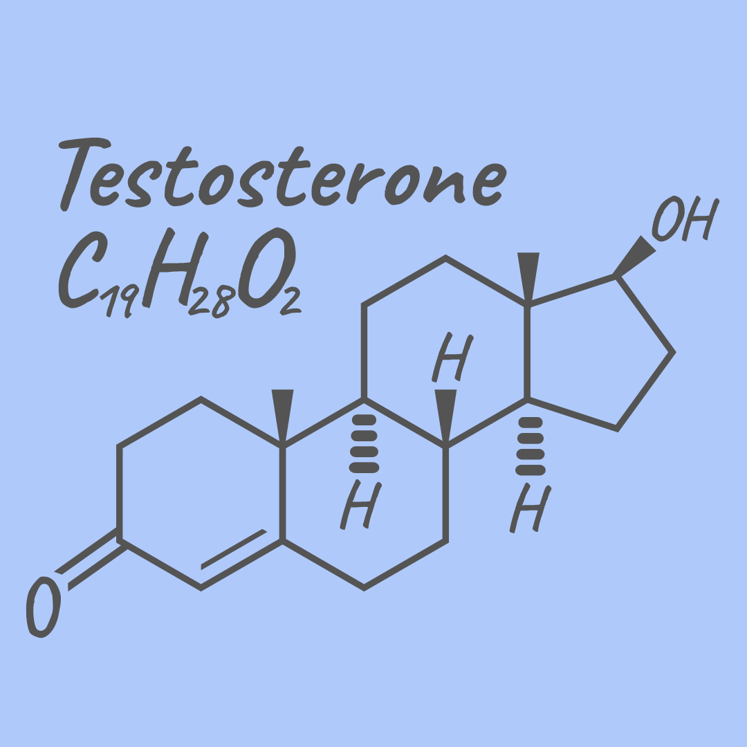 Testosterone 02.png__PID:86d36636-f027-4b69-9aba-28ea3858ca11