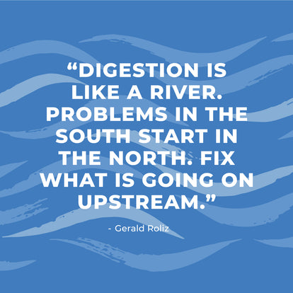 Digestion Quote