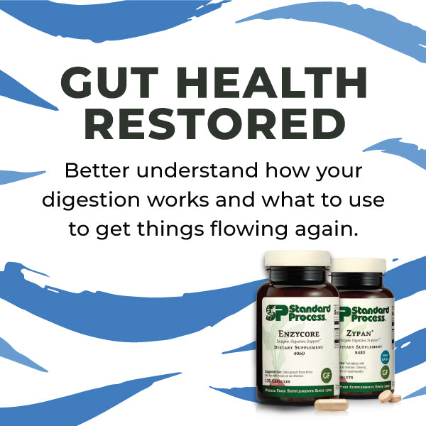 Restoring Gut Health Overview