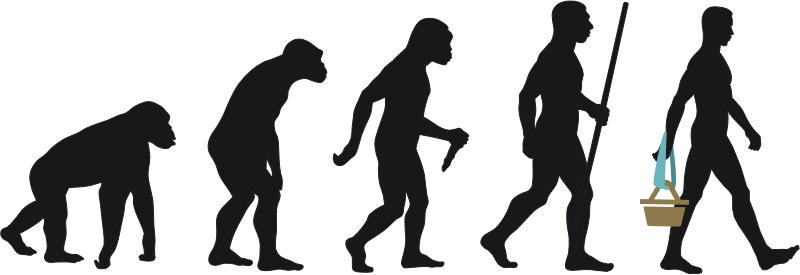 The Evolution of the Shopping Man