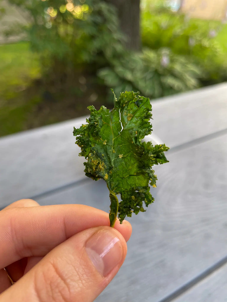 kale chips recipe