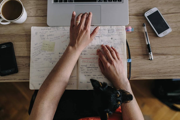 pessoa trabalhando no laptop com caderno repleto de anotações aberto em sua frente, um cachorro no colo e celular e xícara de café ao lado