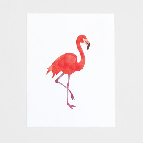 Gravura Artística de Flamingo