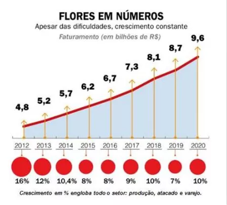 Gráfico do Ibraflor mostrando o crescimento constante do comércio de flores