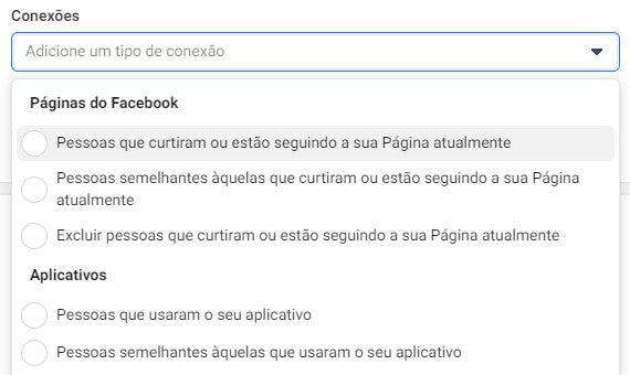 Captura de tela Tipo de conexão Facebook Ads