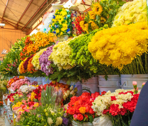 Tipos variados de flores organizados em vasos em uma floricultura