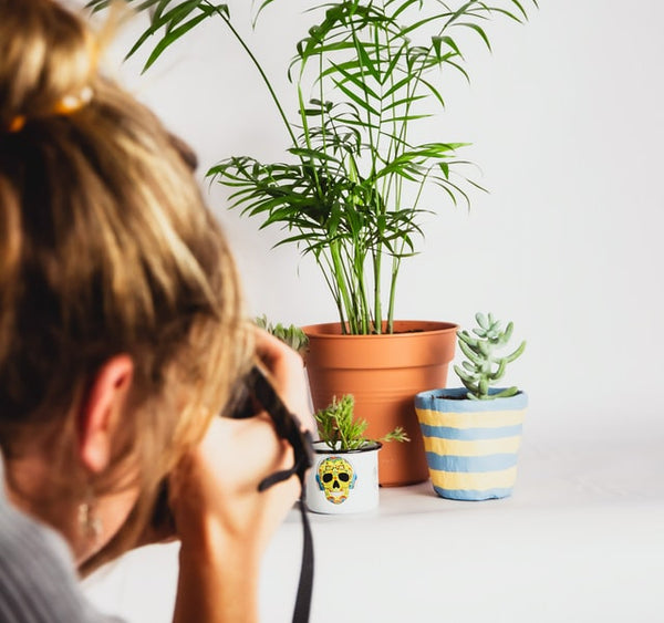 Um fotógrafa tirando fotos de plantas com uma câmera profissional.