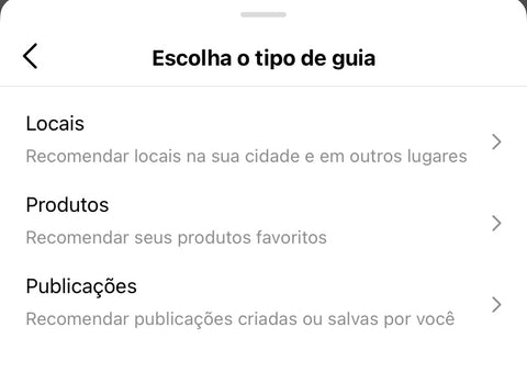 Print da aba "Escolha o tipo de guia" do Instagram