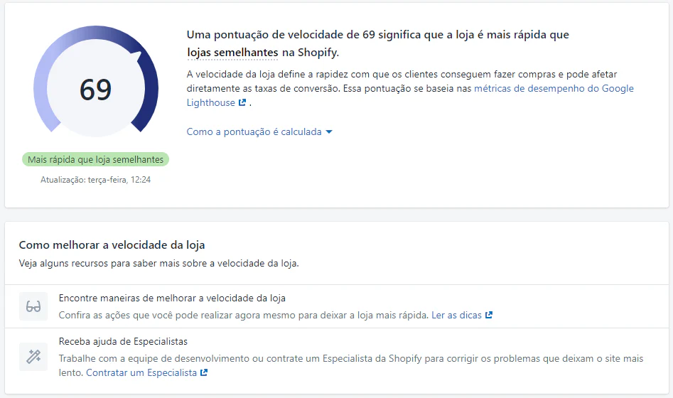 Relatório de velocidade de carregamento do site - admin da Shopify