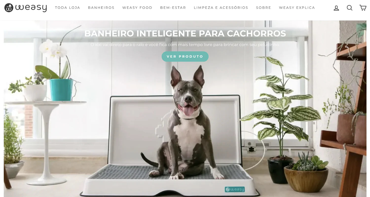 Site do lojista Weasy.