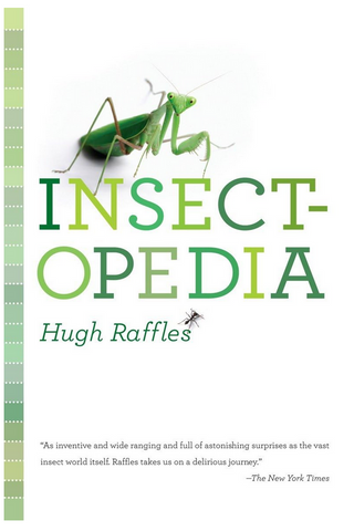 Insectopedia by Hugh Insect Books Top pick on www.glamorousmom.eu