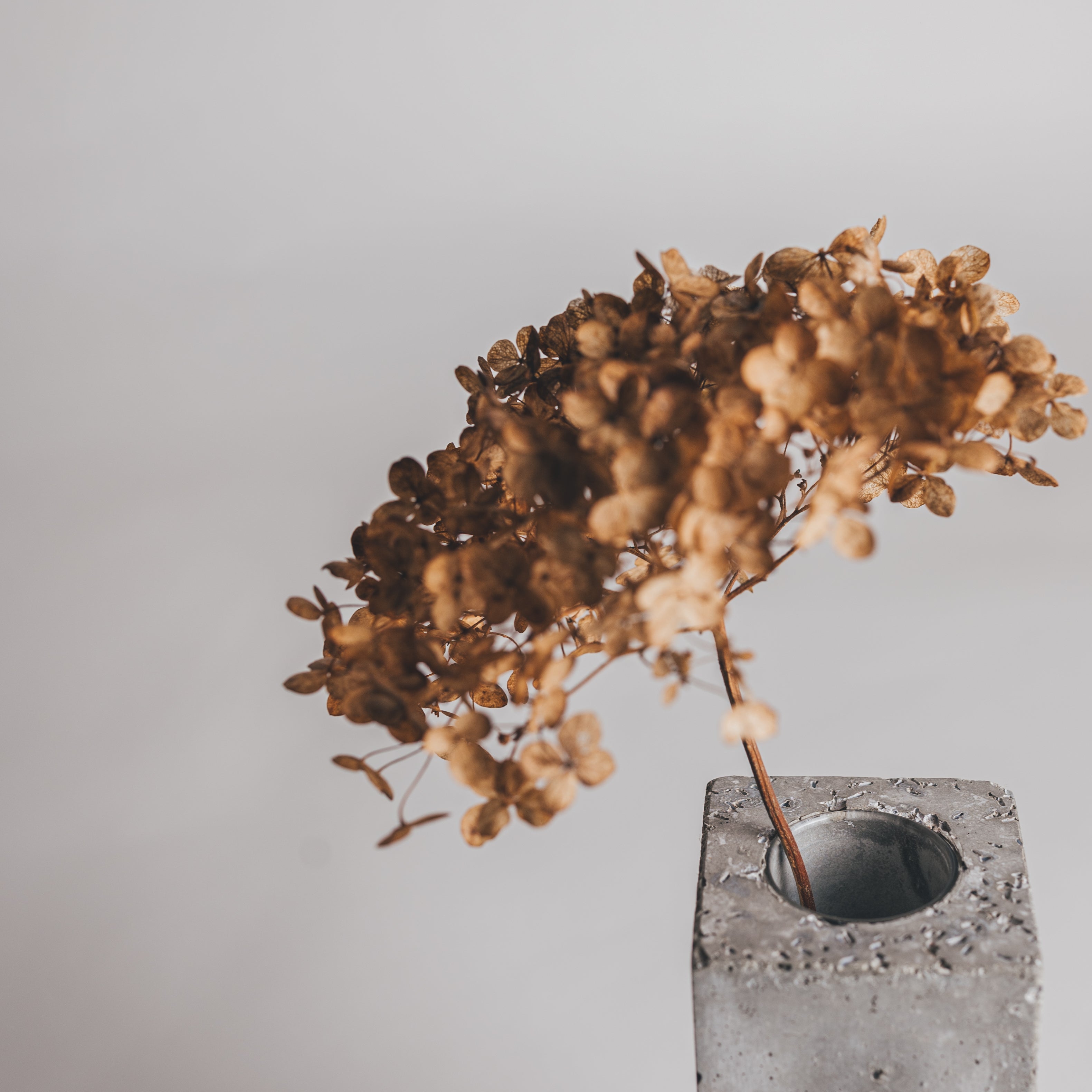 concrete bud vase square textured grey with dried hydrangea flower by studio50