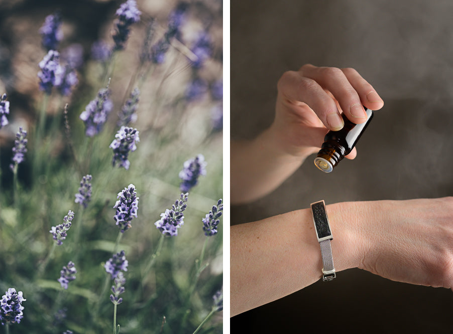 lavender field and essential oil drops onto diffusion buckle bracelet