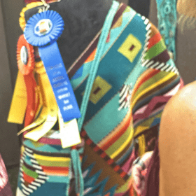 Santa Fe Indian Market Prize Winner