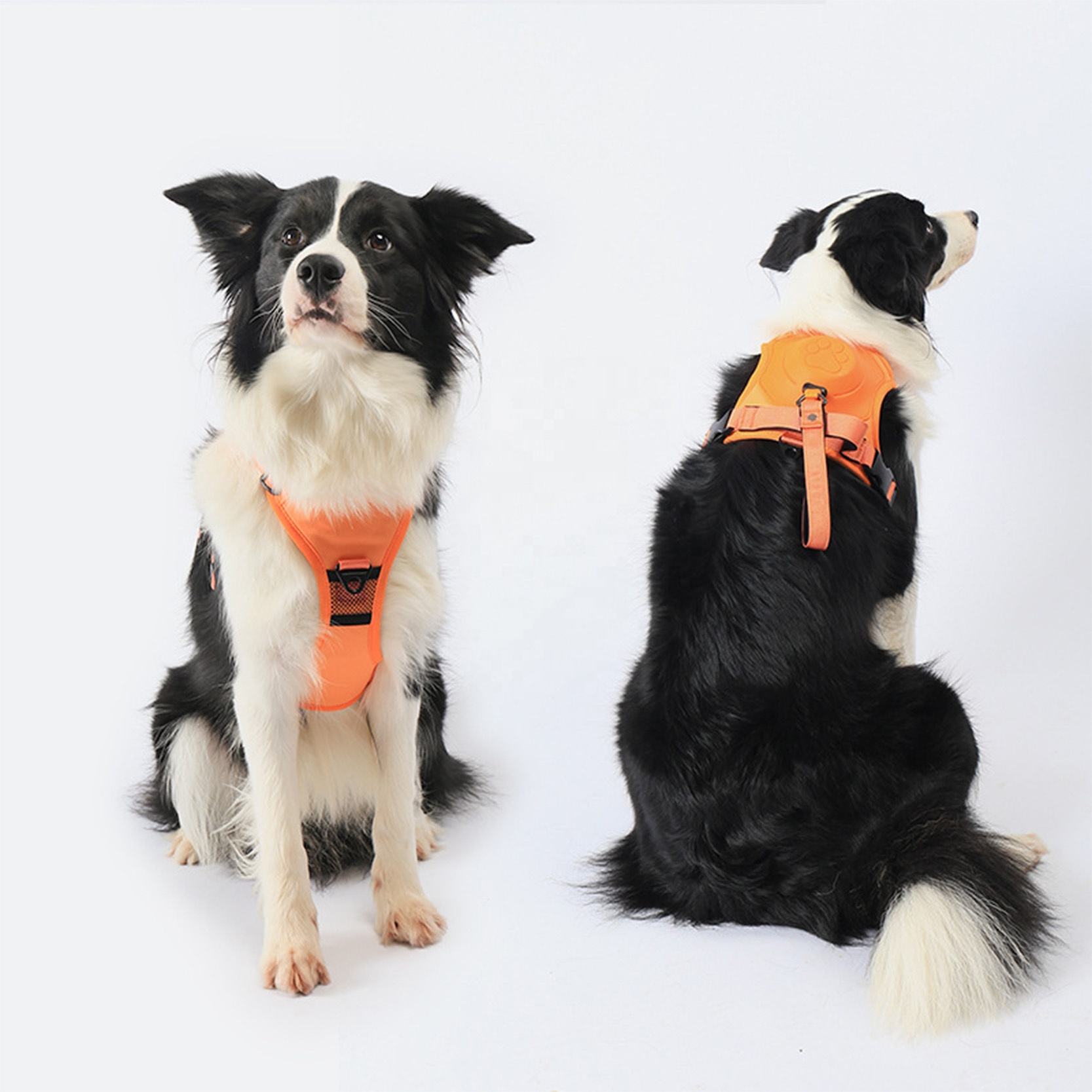 2 In 1 Wholesale Retractable Dog Leash Suppliers Customized Logo Adjustable Hands Free Neoprene Harnesses Webbing Leashes Set