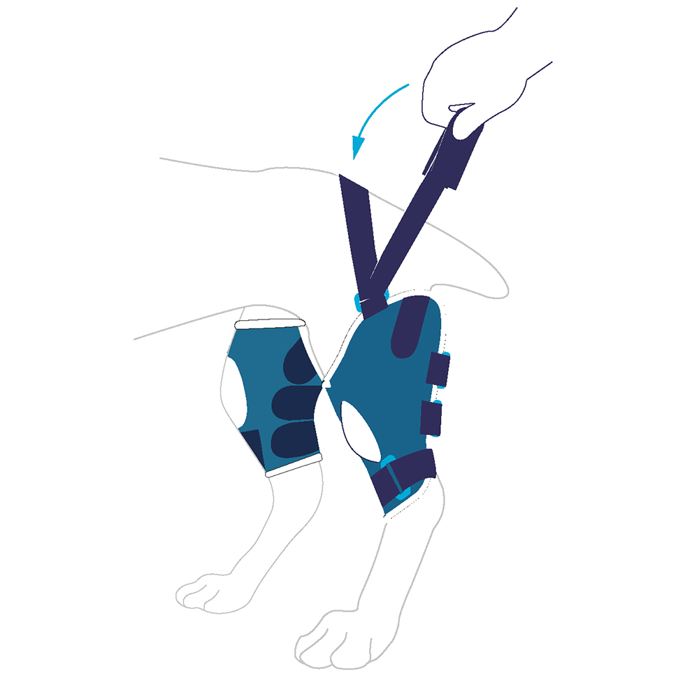 figure 7 for balto jump x ligatek dog brace