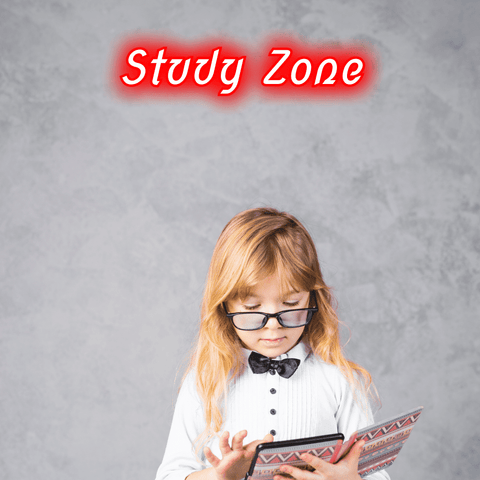Study Zone - Interior Design Ideas for Kids Room