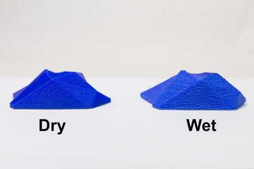 Wet vs Dry Filament