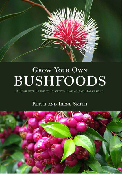 Grow Your Own Bush Foods Grow Your Own Bush Foods – Wild Hibiscus