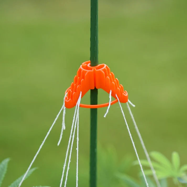Stringy-Thingy - Pack of 5 Plant Support - Image 5