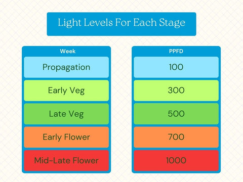 light level led guide
