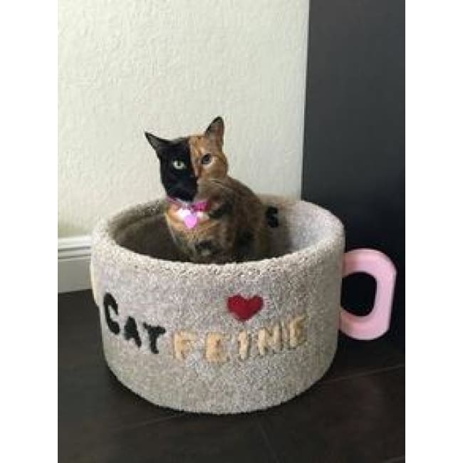 Cat cup and Potato Cups