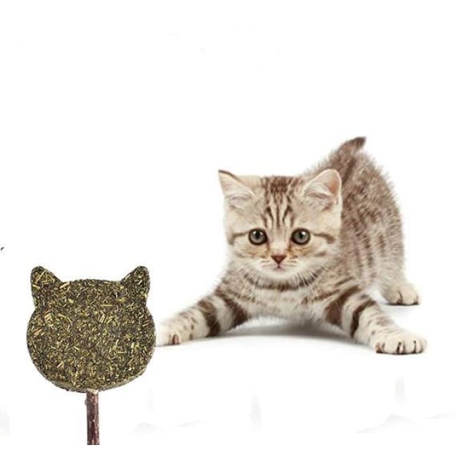 catnip chew toy