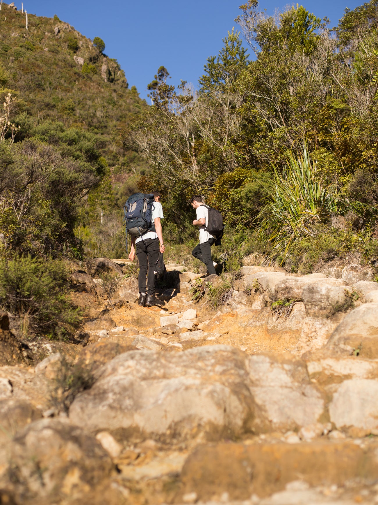 Pinnacles Walk Coromandel New Zealand camping roof top tents