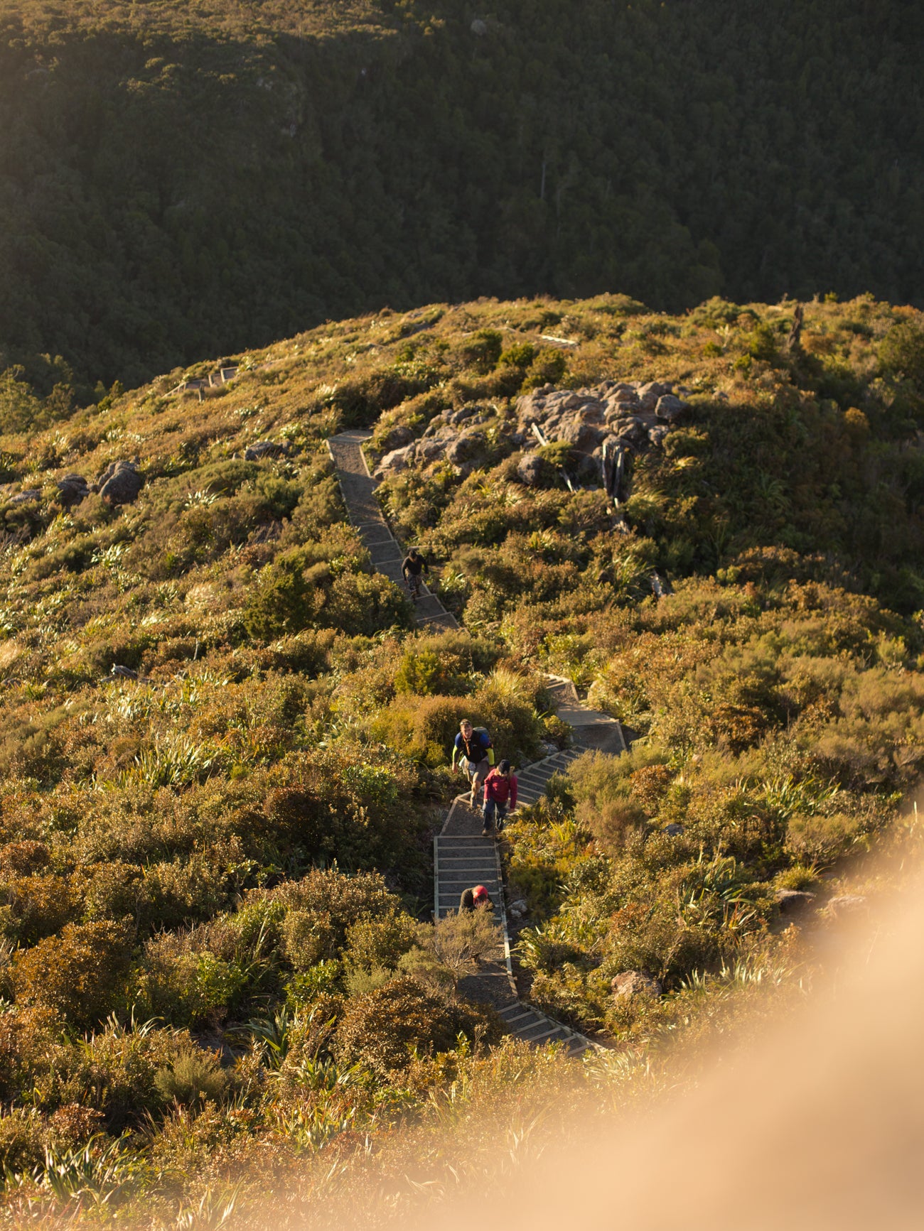 Pinnacles Walk Coromandel New Zealand camping roof top tents