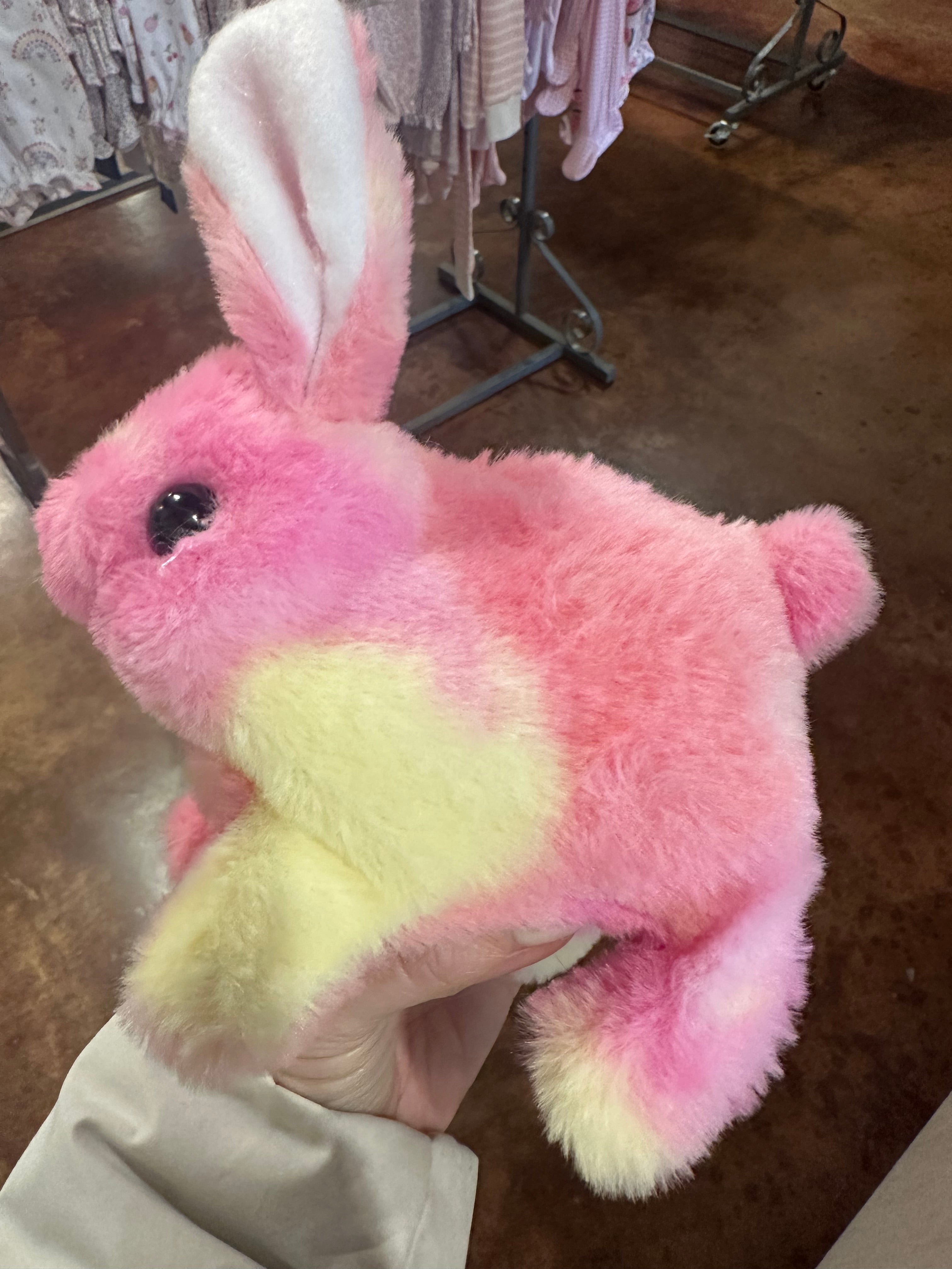 Hopping Bunny