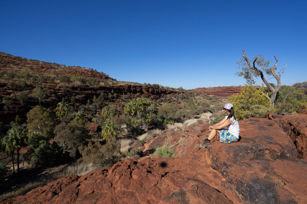 Palm Valley Finke Gorge National Park Northern Territory