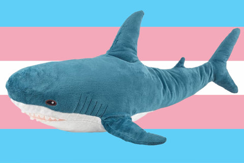 Sharky la peluche requin, icone chez la communauté femboys et transgenres