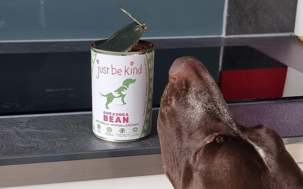 Give A Dog A Bean is SO tasty to dogs!