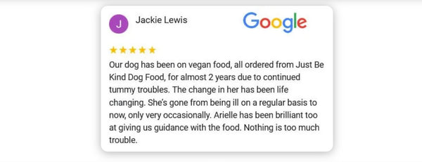 Google review Just be Kind